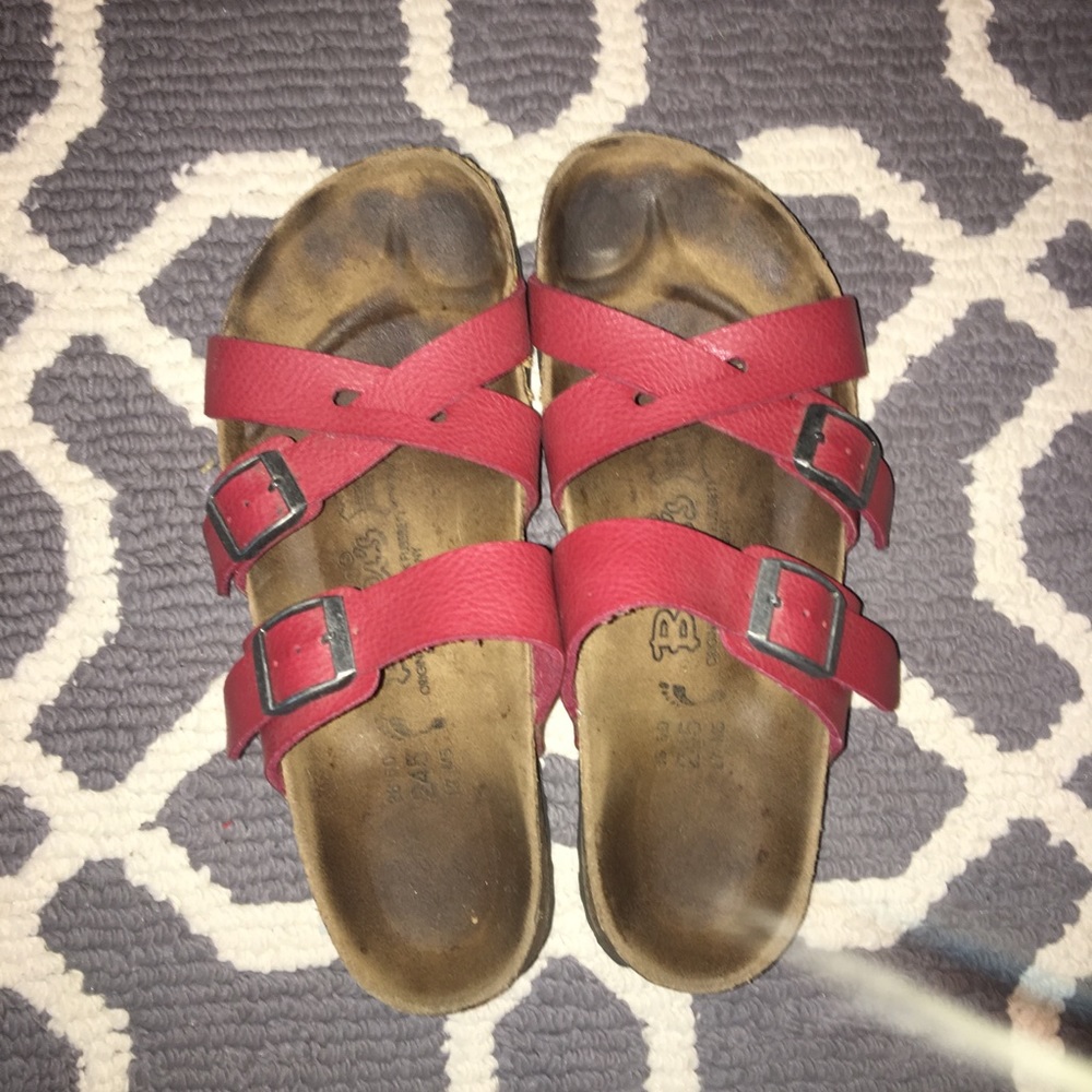 Red birki’s